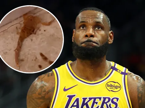 LeBron evitó un ataque del escorpión más venenoso de Norteamérica