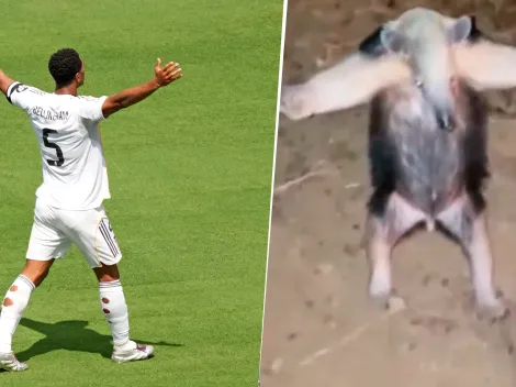 Los mejores memes tras la victoria del Real Madrid sobre el Barcelona en el Clásico de LaLiga