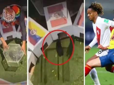 'El cuy Renato' dio su pronóstico y Perú le ganará a Colombia la medalla de bronce