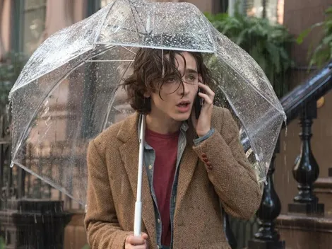 Woody Allen ataca contra Timothée Chalamet