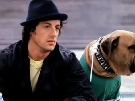 Sylvester Stallone: la cruda y emotiva historia de su perro 'Butkus'