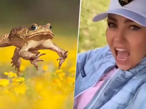 Video viral: Thalía fue sorprendida por una rana gigante y su reacción dio que hablar