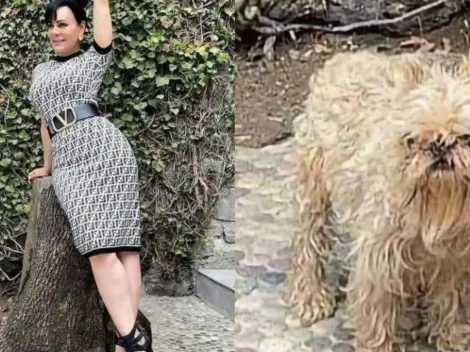 Maribel Guardia mostró su look, pero el aspecto de su perro fue blanco de memes