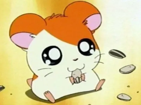 Dónde ver animés muy tiernos como Bananya, Hamtaro, Aggretsuko y más