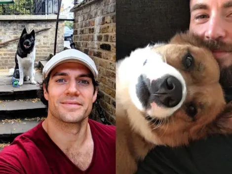 Henry Cavill, Chris Evans y otros famosos fans de los perros