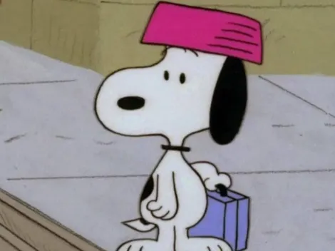 Este perro es igual a Snoopy y se volvió viral