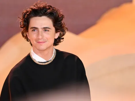 All Timothée Chalamet's upcoming projects