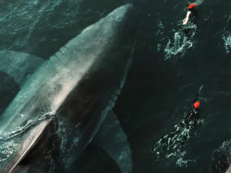 Is Netflix's new shark-themed movie 'Under Paris' based on a true story?