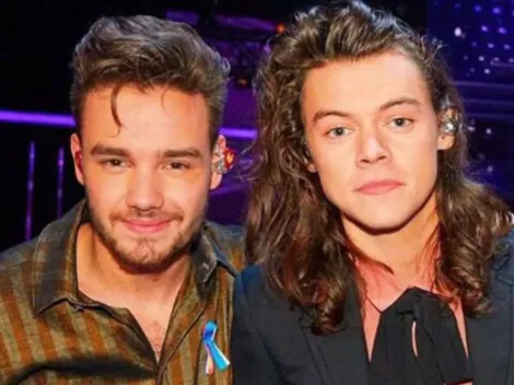 Harry Styles pays tribute to Liam Payne: What did he say?