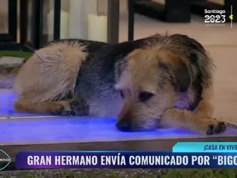 ¿Maltrato animal en Gran Hermano Chile 2023? La REPUDIABLE acción de un participante