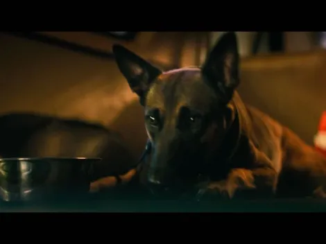 ¿Dog: Un viaje salvaje está en Netflix? Dónde ver la película en streaming