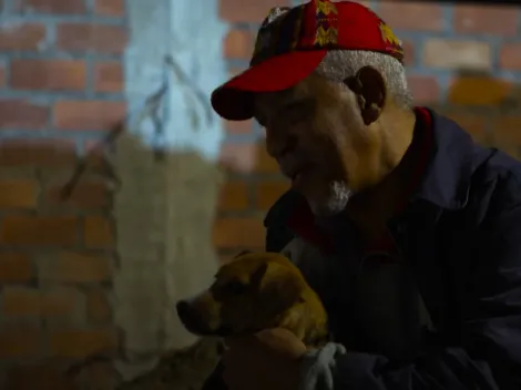 ¿El "Hachiko peruano"?: Así llaman a Vaguito, película cuya fecha de estreno se espera en México