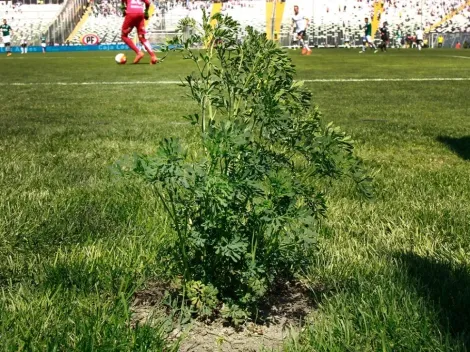 Vuelve la ruda al Monumental