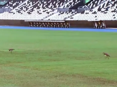 La cancha para el debut de Chile en la Copa América es un desastre