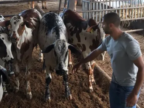 Fue mundialista y campeón con Saprissa y la La Liga, pero se hizo ganadero y agricultor