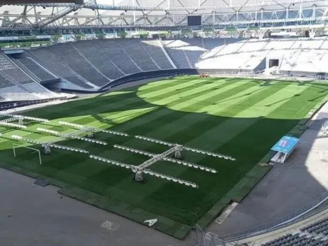 Así está el césped del estadio de La Plata