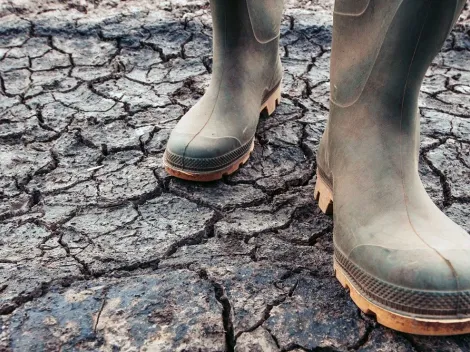 Cambio Climático: Según un estudio en 30 años el planeta no dará abasto