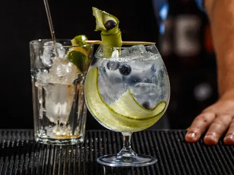 Trucos para preparar el mejor gin tonic de tu vida