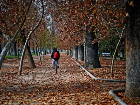 Revisa el día y la hora en que comienza el otoño en Chile