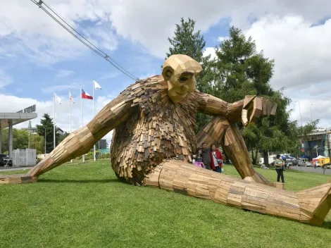 ¿Hasta cuándo estará en Concepción el Festival Hecho en Casa?