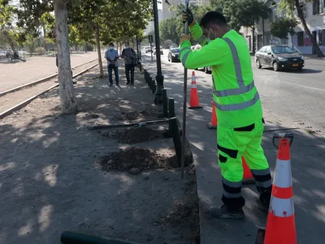 ¿Cuáles son los requisitos y cómo puedo postular al IFE Laboral?