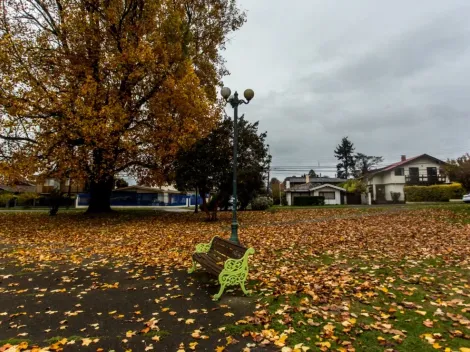 ¿Cuándo empieza el otoño y el invierno en Chile?