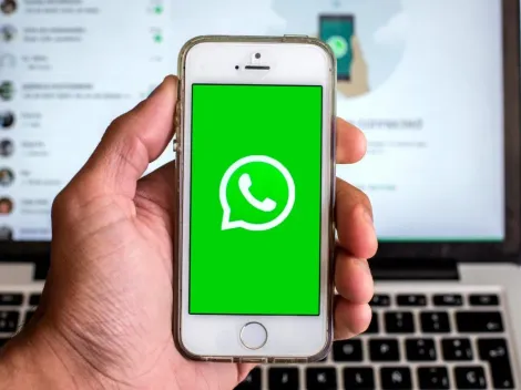 ¿Cómo descargar tu informe de actividad de WhatsApp?