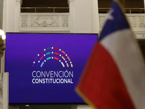 ¿Cuántos artículos tiene el borrador de la Nueva Constitución y dónde puedo verlos?