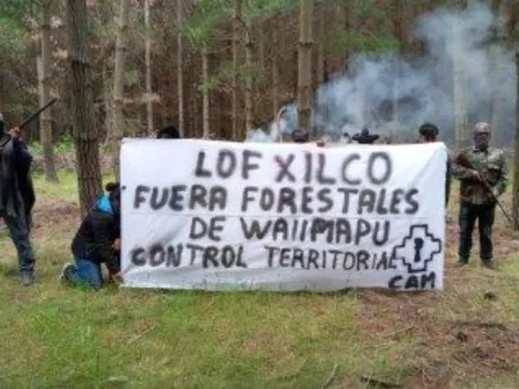 Dos empresarios forestales y otros diez delincuentes quedaron detenidos por robo de madera