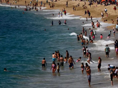 ¿Cuál es la playa chilena que prohíbe el ingreso de mascotas?