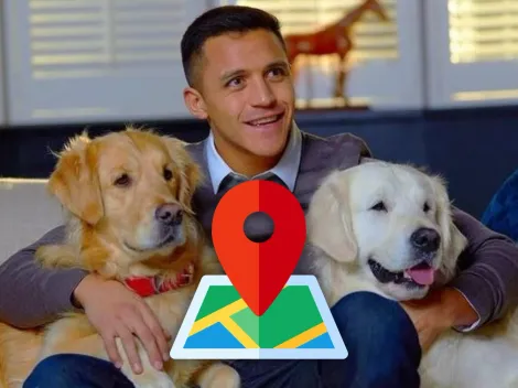 ¿Una pista? Alexis sube fotos de sus perros con ubicación activada