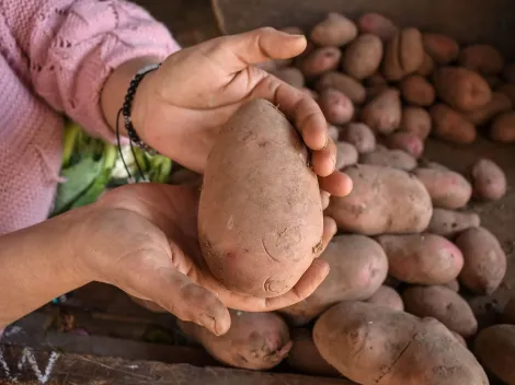 ¿Cuál es el motivo de la extrema alza en el precio de las papas?