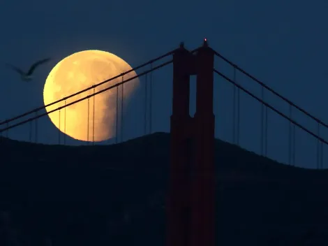 ¿Qué signos del zodiaco se verán más afectados por la Luna Azul?