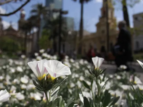 ¿Llueve? Así estará el clima hoy en Santiago