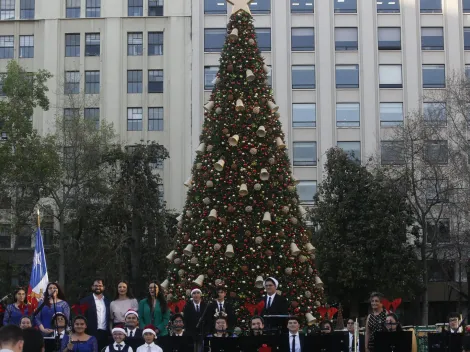 ¿Por qué se arma el arbolito de Navidad los 8 de diciembre?