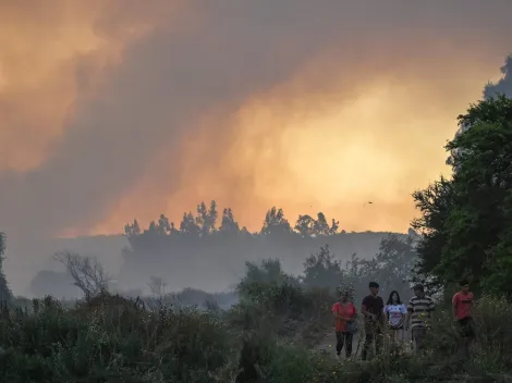 ¿Cómo saber dónde hay incendios forestales? Sigue el minuto a minuto de la CONAF