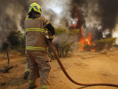 ¿Cómo saber en qué parte de Chile hay incendios?