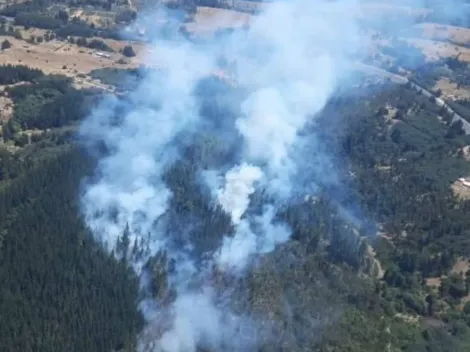 Declaran alerta roja por incendio forestal ¿Dónde es?