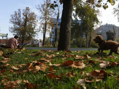 ¿Cuándo empieza el otoño en Chile?