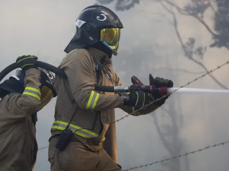 ¿Cómo comprar el SOAP 2024 a Bomberos?