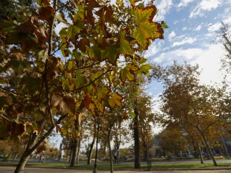 ¿Cuándo comienza el otoño en Chile?