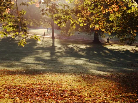 ¿Cuándo termina el verano y comienza el otoño en Chile?