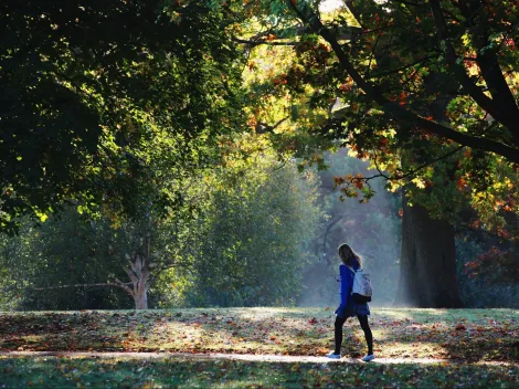 ¿Cuánto dura el otoño y cuándo termina?