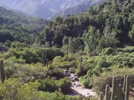 ¿Qué parques nacionales serán gratuitos por el Día del Deporte?