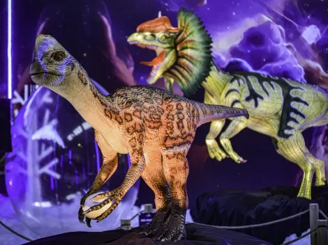 Panoramas: Conoce todo sobre el Dino Adventure para niños