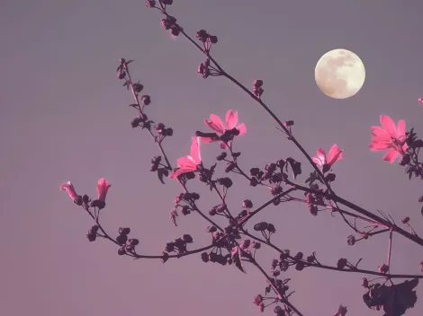 ¿Cuándo se podrá ver la Luna de Flores y por qué se llama así?