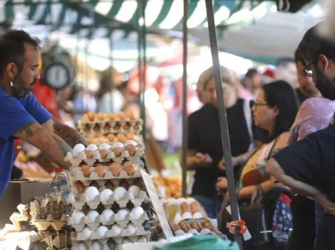 ¿Qué criterio se usa para otorgar el Bolsillo Familiar?