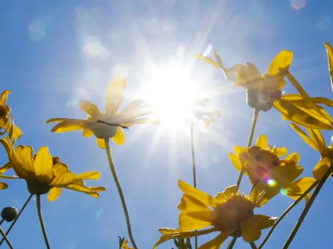 ¿Cuándo empieza la primavera en Chile?