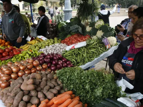 ¿Qué requisitos pedía el Bolsillo Familiar previo a su reactivación?