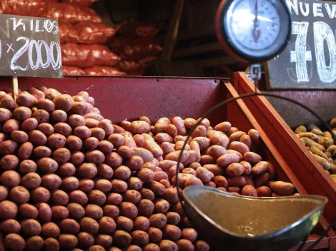 Expertos explican qué pasará con el precio de las verduras tras sistema frontal